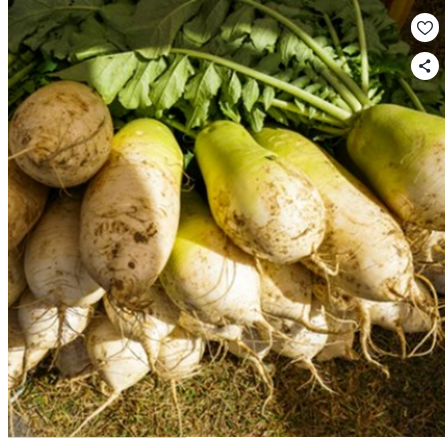 Screenshot 2026 01 17 at 20.15.15