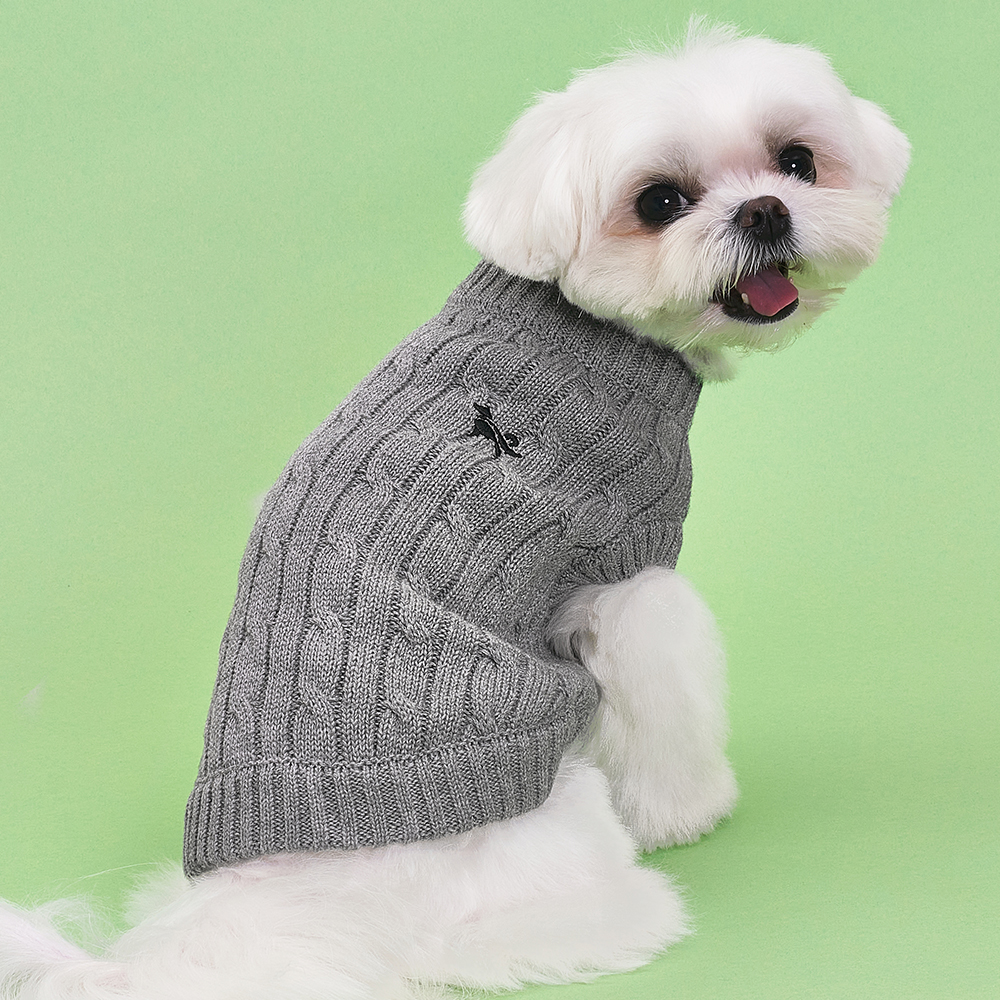 우리 댕댕이 패셔니스타 등극? 도그아이 강아지옷 애견 순면 니트 솔직 후기!