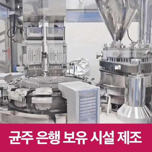 여성 건강 필수템! 힘가네 질유산균, 직접 써보니 대만족 후기! 2 여성 건강 필수템! 힘가네 질유산균, 직접 써보니 대만족 후기!