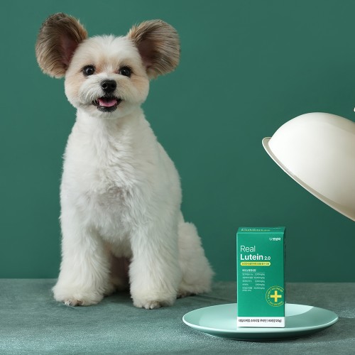 강아지 눈 영양제 추천! 펫생각 리얼루테인으로 눈물 자국, 충혈 안녕!