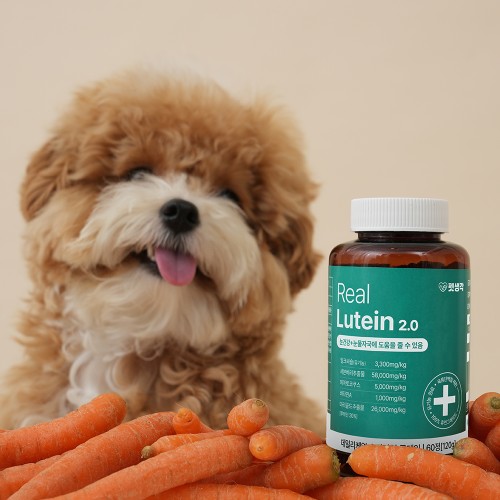 강아지 눈 영양제 추천! 펫생각 리얼루테인으로 눈물 자국, 충혈 안녕!