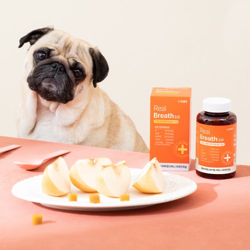 우리 아이 숨통 트여줘! 펫생각 리얼 브레스 강아지 기관지 영양제 솔직 후기 3 우리 아이 숨통 트여줘! 펫생각 리얼 브레스 강아지 기관지 영양제 솔직 후기