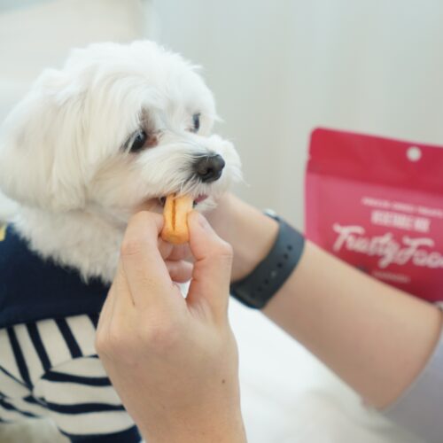 우리 댕댕이 건강 간식? 트러스티푸드 동결건조 가니쉬 야채믹스 후기!