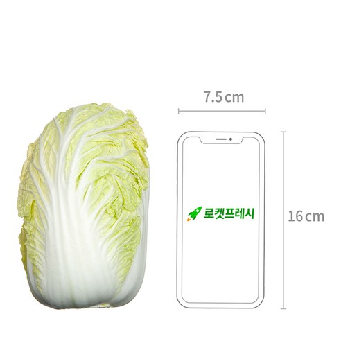 아삭함 폭발! 겨울 김장 & 겉절이의 신의 한 수, 국내산 알배기 솔직 후기