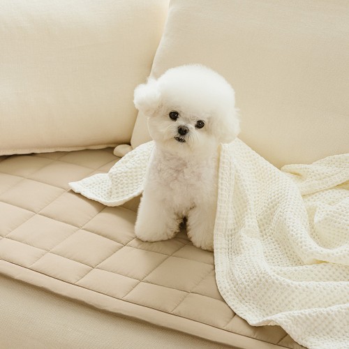 우리 집 댕냥이 소파 지킴이! 바자르 몽실몽실 반려동물 쇼파패드 솔직 후기