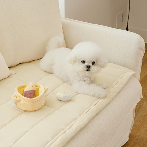 우리 집 댕냥이 소파 지킴이! 바자르 몽실몽실 반려동물 쇼파패드 솔직 후기