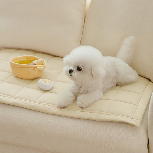 우리 집 댕냥이 소파 지킴이! 바자르 몽실몽실 반려동물 쇼파패드 솔직 후기