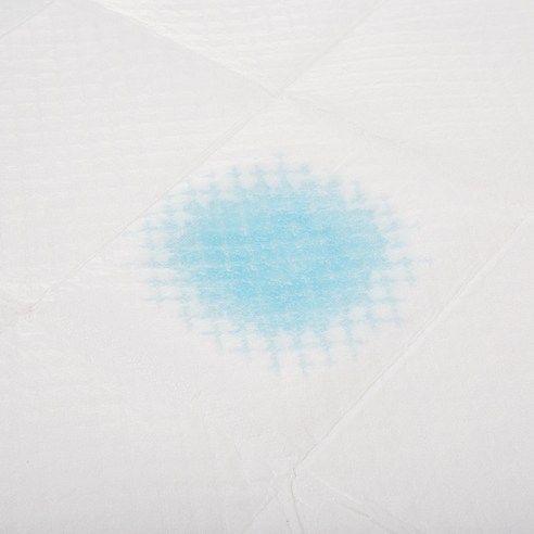 우리 댕댕이 배변 훈련 성공템! 탐사 실속형 배변패드 솔직 후기