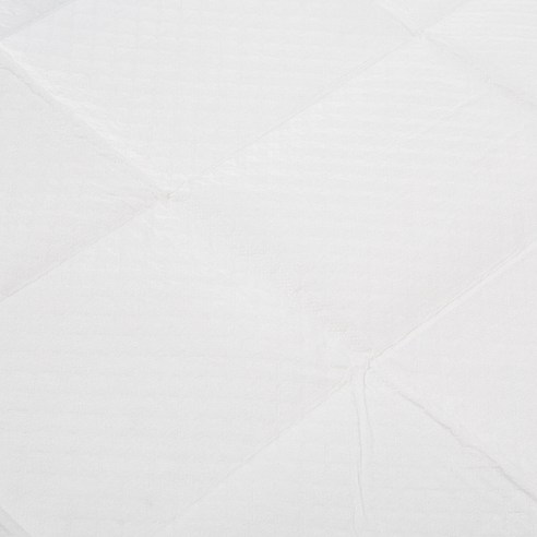 우리 댕댕이 배변 훈련 성공템! 탐사 실속형 배변패드 솔직 후기