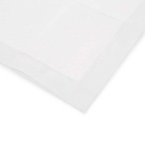 우리 댕댕이 배변 훈련 성공템! 탐사 실속형 배변패드 솔직 후기