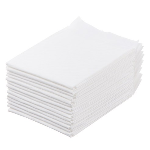 우리 댕댕이 배변 훈련 성공템! 탐사 실속형 배변패드 솔직 후기