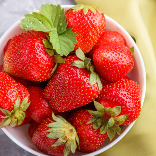 맛과 건강을 한번에! 냉동 과일 1KG 모음전으로 우리 집 카페 완성!