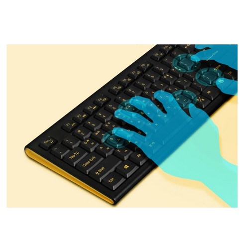 로이체 무선 키보드 마우스 세트, 내 돈 주고 산 솔직 후기!