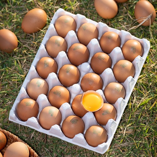 아침이 달라지는 맛, 난각번호1번 계란 유정란 20구로 건강 한 스푼!