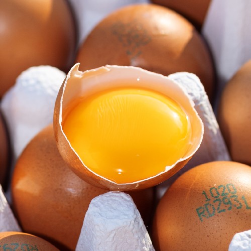 아침이 달라지는 맛, 난각번호1번 계란 유정란 20구로 건강 한 스푼!