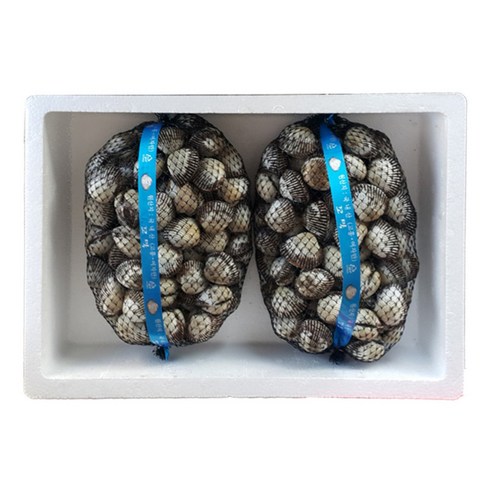 제철 벌교 꼬막, 산지직송으로 집에서 즐기는 황홀경! (3kg 대)