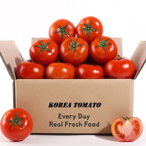 놀라운 완숙토마토 타임특가! 당일발송으로 신선함 바로 만나세요!