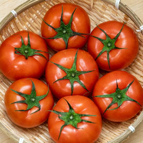 놀라운 완숙토마토 타임특가! 당일발송으로 신선함 바로 만나세요!