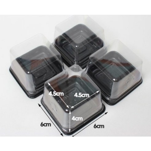 수제 화과자 포장, 이제 걱정 마세요! 완벽한 화과자 케이스 50p 세트 솔직 리뷰