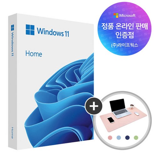 새 PC엔 역시! 윈도우11 홈 FPP 정품으로 완벽하게 설치 후기