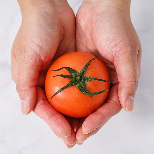이 맛 실화? 달콤함 폭발! 대추 방울토마토 완숙 찰 토마토 특품, 왜 이제야 만났을까!