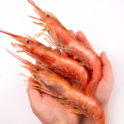 랍스터인 줄 알았어? 입에서 살살 녹는 자연산 홍새우 2KG 후기!