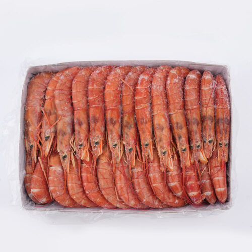 랍스터인 줄 알았어? 입에서 살살 녹는 자연산 홍새우 2KG 후기!