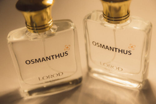 로로드 금목서향수, 가을의 낭만을 선물하다 4 로로드 금목서향수, 가을의 낭만을 선물하다