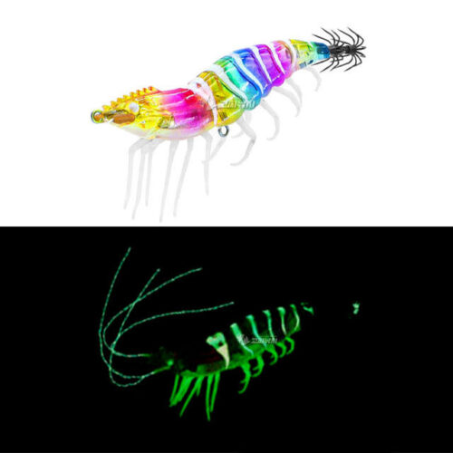 갑오징어 한치 대박! 고씨낚시 치카라 에기, 이젠 이걸로 끝장내요