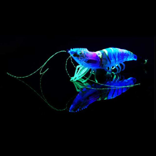 갑오징어 한치 대박! 고씨낚시 치카라 에기, 이젠 이걸로 끝장내요