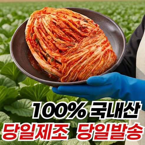 내 입맛에 딱! 김가연의 똑소리나는 포기김치 10kg 솔직 리뷰 (feat. 밥도둑)
