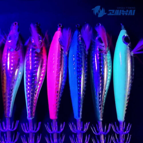 고씨낚시 12컬러 홀로그램 에기, 쭈꾸미 갑오징어 채비로 대박 조과!
