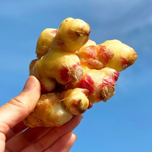 product_1768487618329_1