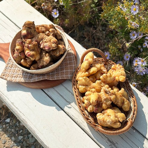 가을 향 가득! 경북 햇생강으로 요리 레벨 UP!