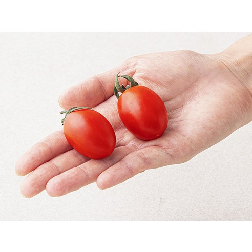 우리집 건강 지킴이, 대추방울토마토 500g 솔직 후기!