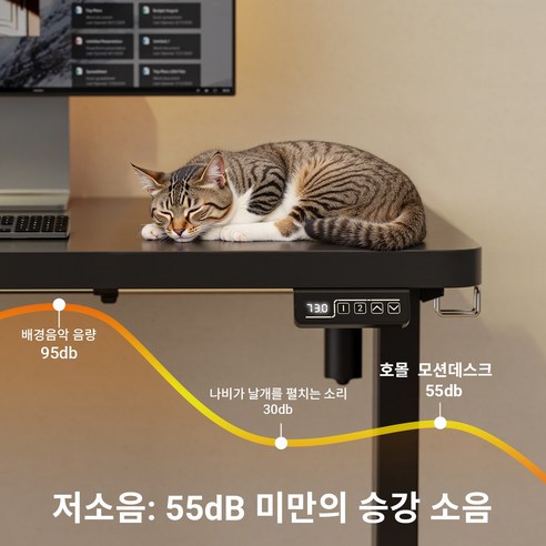 내 돈 내산 후기! Homall 모션데스크 PE-01, 정말 괜찮을까?