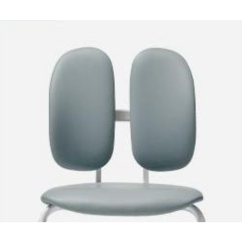 집중력 UP! 듀오백 집중형 책상 의자 D-043W, 내돈내산 후기