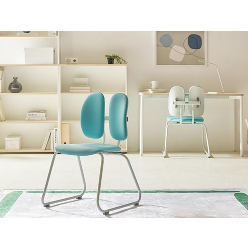 집중력 UP! 듀오백 집중형 책상 의자 D-043W, 내돈내산 후기