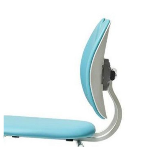 집중력 UP! 듀오백 집중형 책상 의자 D-043W, 내돈내산 후기