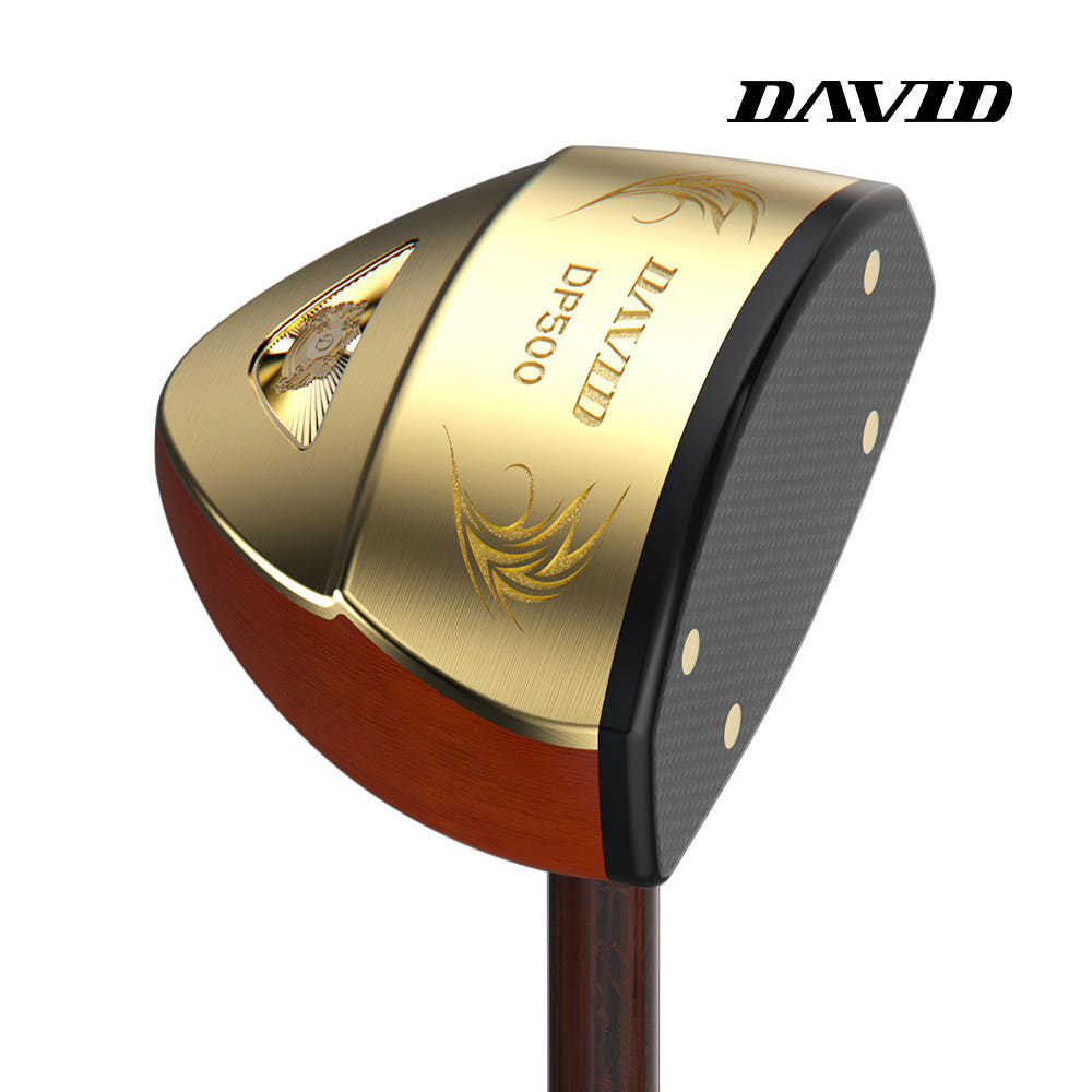 데이비드 DP500 파크골프채 후기, 이젠 필드에서 자신감 뿜뿜!