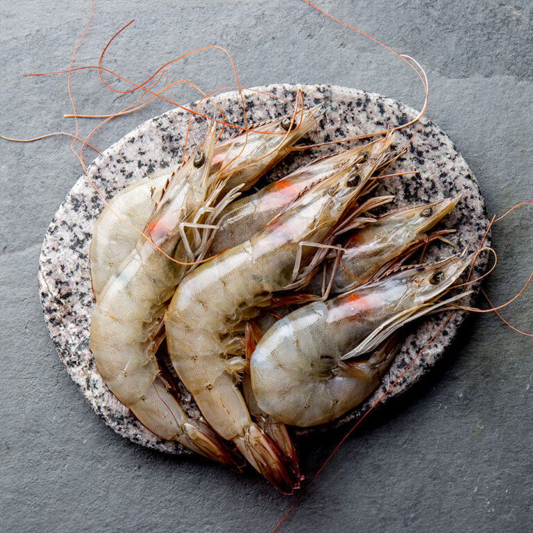 product_1769866139752_1