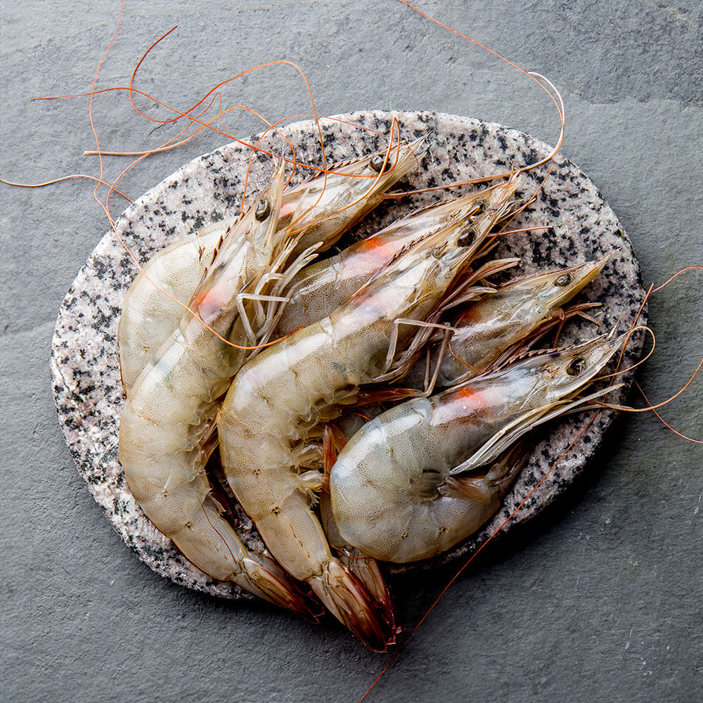 프리미엄 페루새우 2kg, 집에서 즐기는 미식 경험! 이 맛은 꼭 봐야 해!