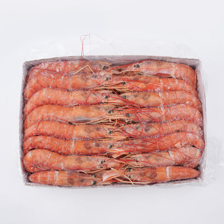 product_1769866164400_1