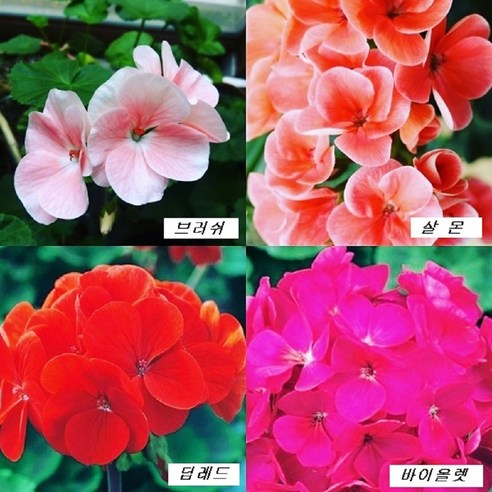 product_1775564805568_1